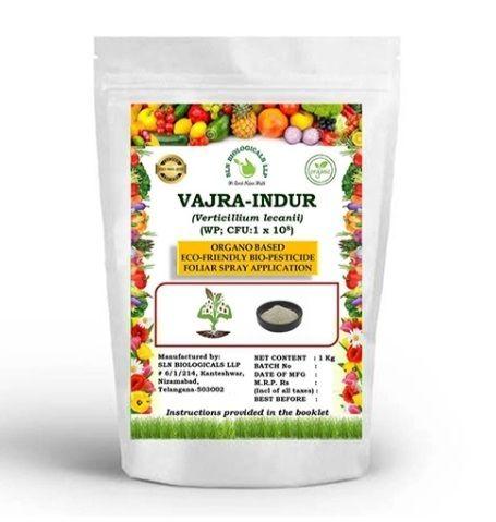 1kg Verticillium Lecanii Organo Based Eco-Friendly Bio Pesticide