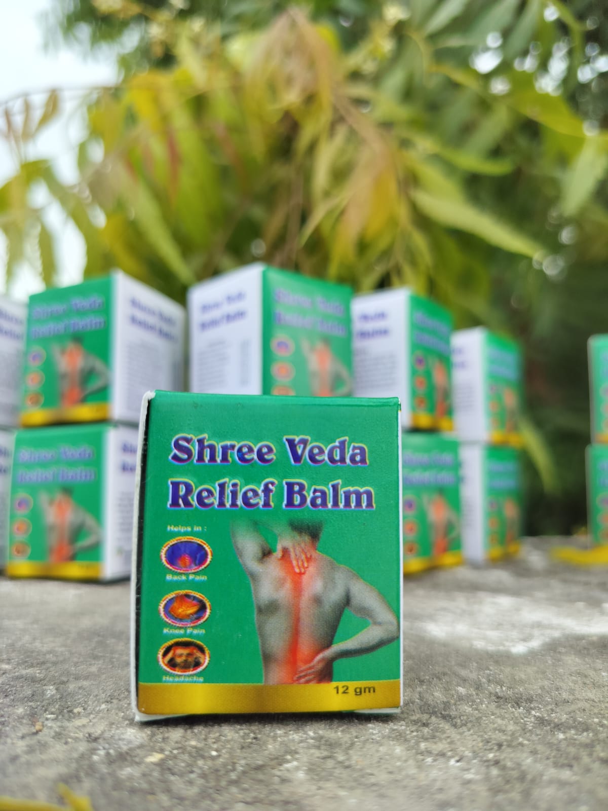 SHREE VEDA RELIEF BALM