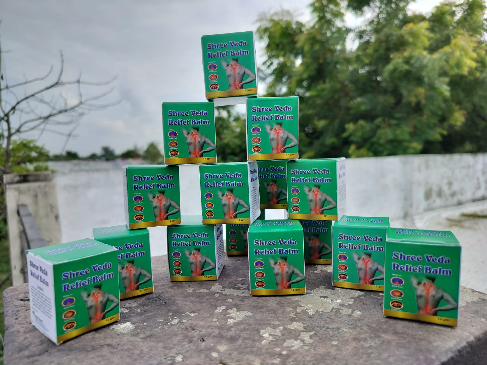 SHREE VEDA RELIEF BALM